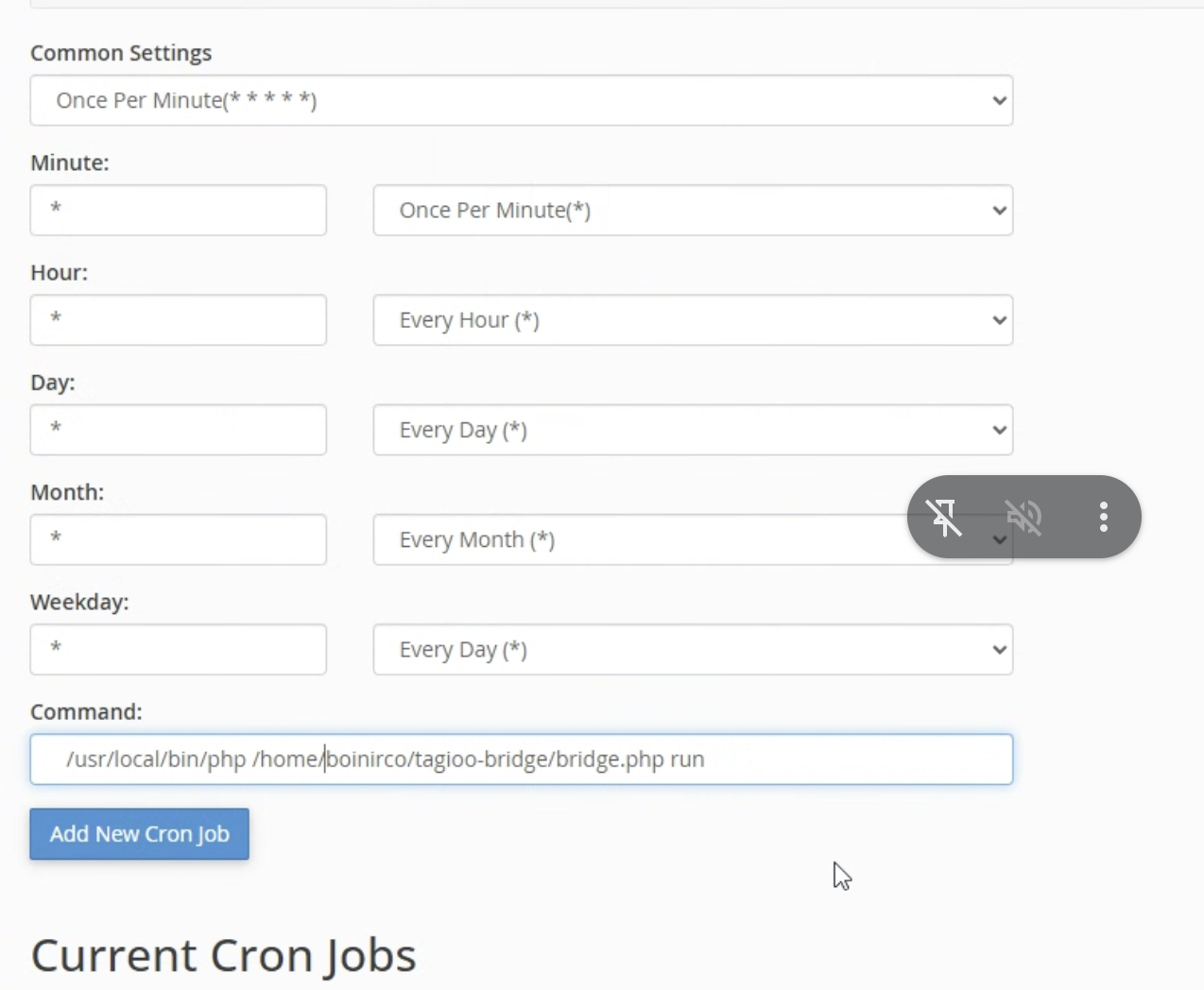 cPanel Cron Jobs form configured to run the Tagioo Bridge once per minute